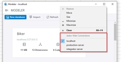 Connection in Modeler screenshot